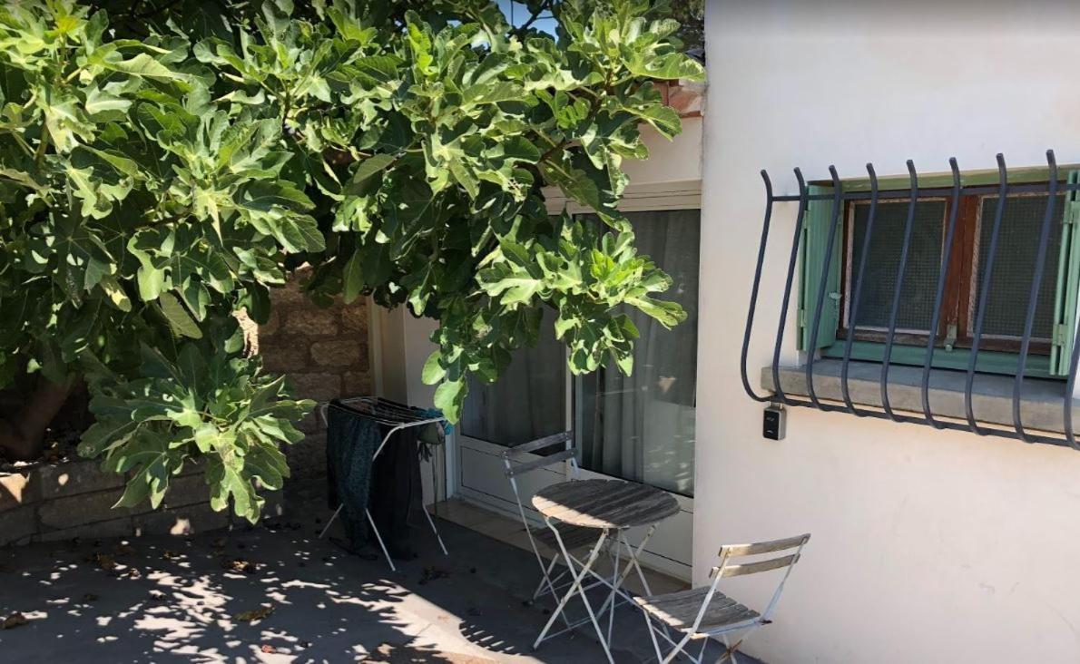 Le Nid Castries - Charmant Logement Complet Et Equipe Centre Castries Proche Montpellier Eksteriør billede